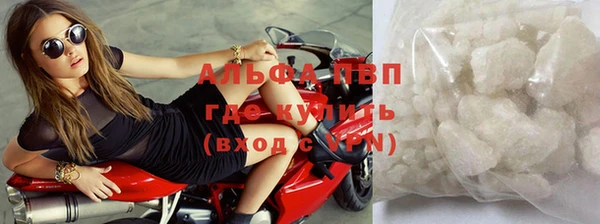 амф Верхний Тагил