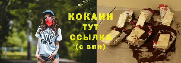 амф Верхний Тагил