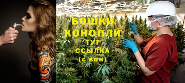 амф Верхний Тагил