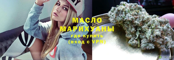 амф Верхний Тагил
