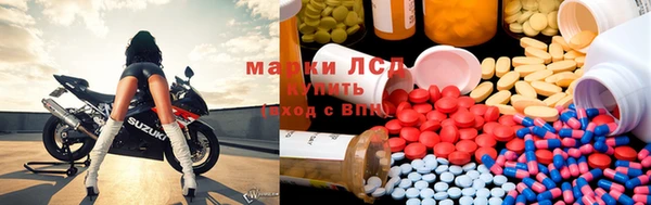 амф Верхний Тагил
