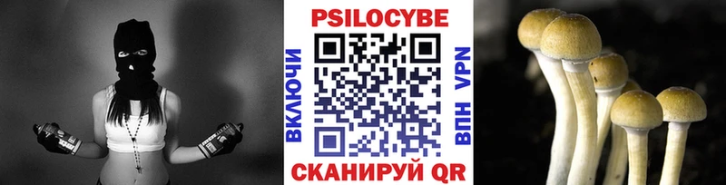 mega как войти  Чехов  Галлюциногенные грибы мухоморы 